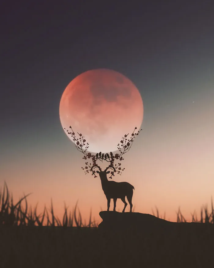 I’m A 23-Year-Old Turkish Guy Who Turns His Dreams Into Pictures