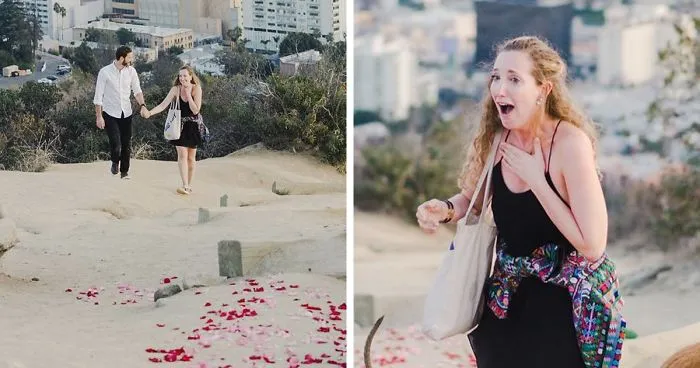 This Girl’s Reaction To Her Boyfriend Proposing With 16 Dogs Is Priceless