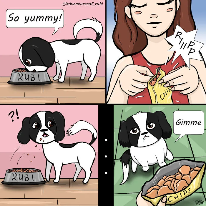 My 29 Comics That Every Dog Owner Will Understand