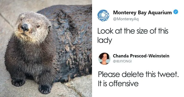 Aquarium Fat-Shames One Of Their Otters, Gets Instantly Murdered By Words