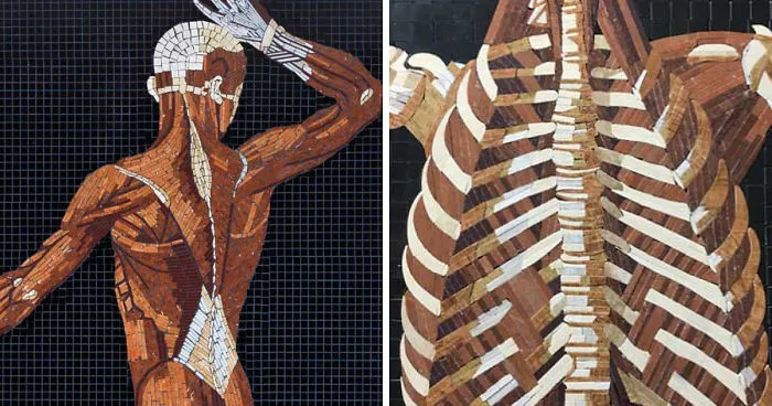 I Used Marble, Stone And Precious Gems To Create Realistic Mosaics Of 16th Century Anatomical Drawings