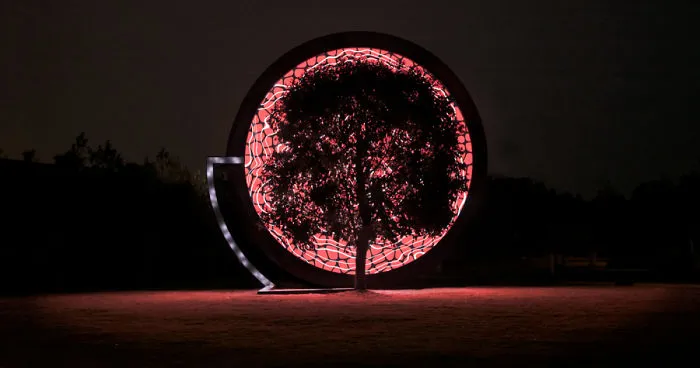We Made A Tree Talk About How It Feels About Climate Change Using Its Own Real Time Data