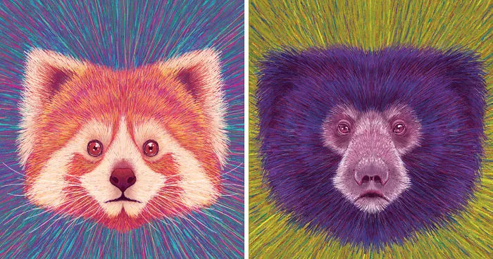 Calendar 2019 - Losing Wildlife