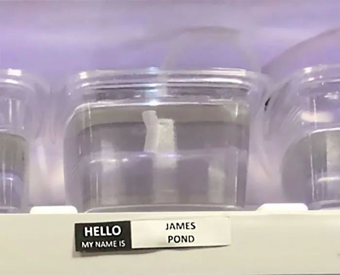 James Pond