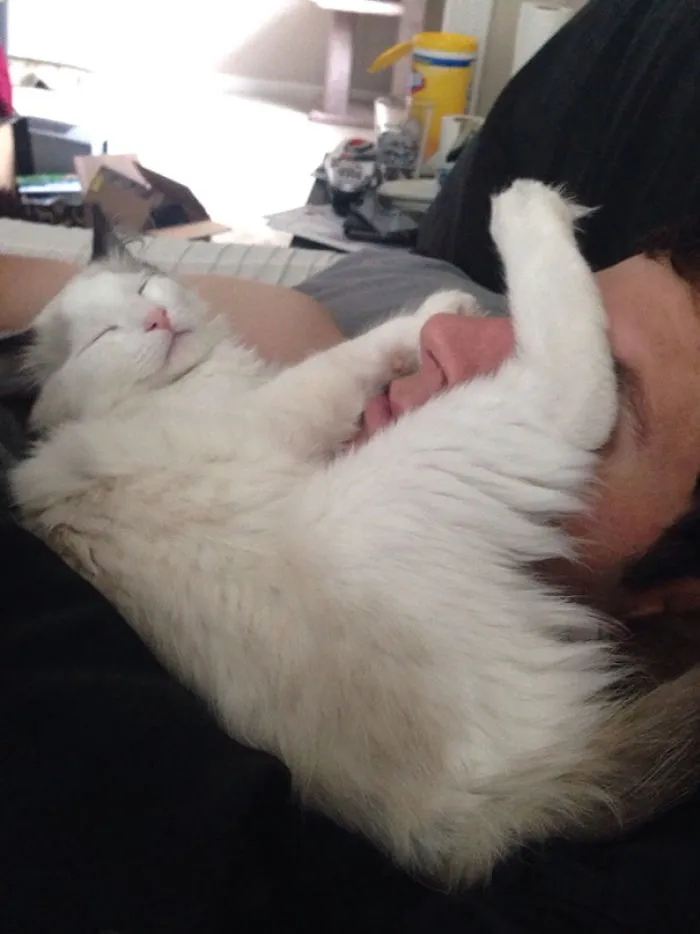 This Is What I Wake Up To Every Morning