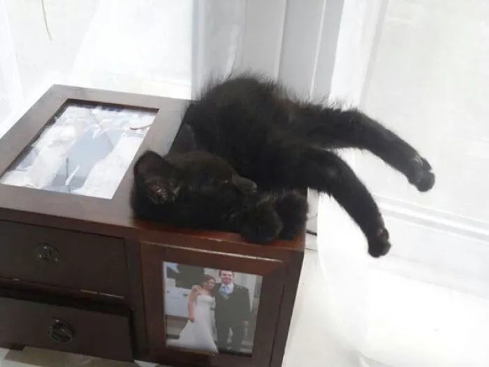 Super Comfy