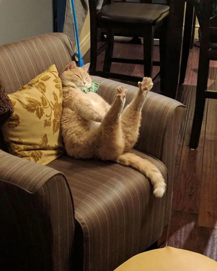 Ohh Yes, It's A Good Sleep