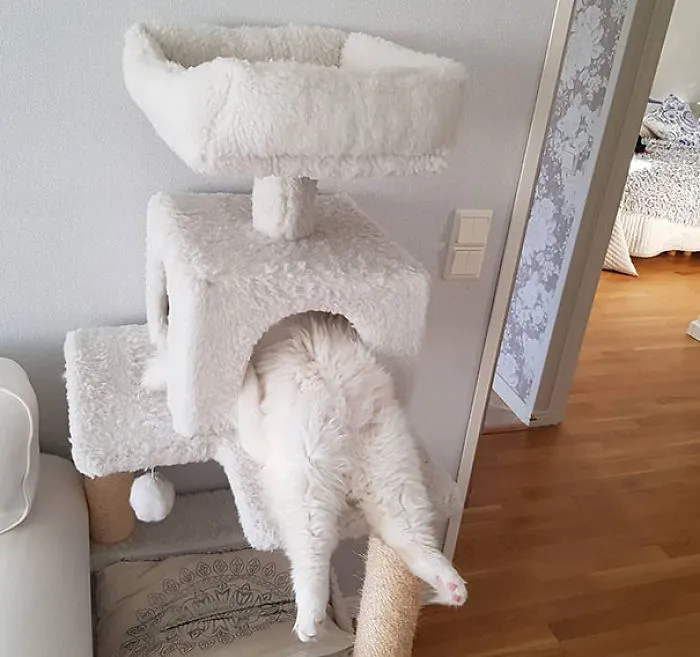 Too Big For This Bed Already?