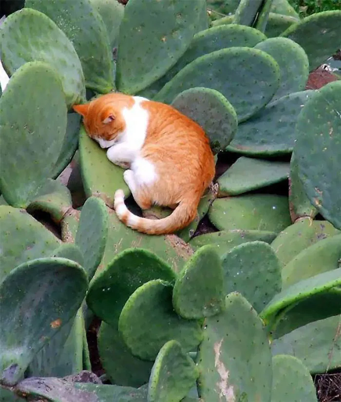 Perfect Spot
