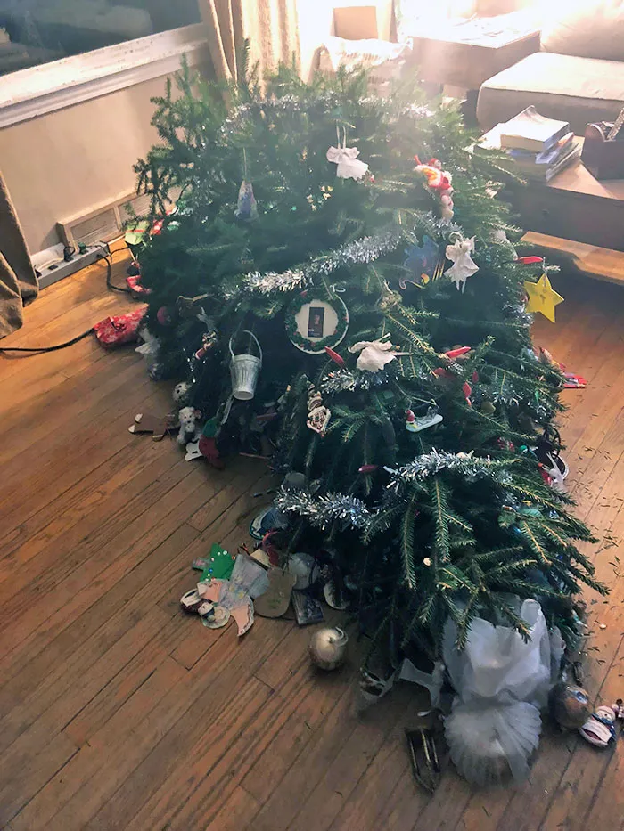 El perro ha tirado el árbol