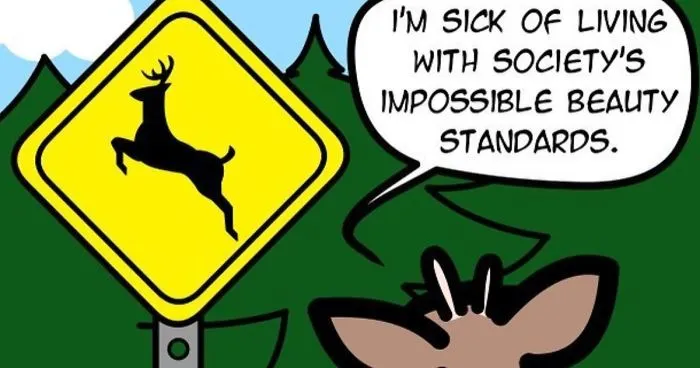 My 44 Comics With Cynical Humor