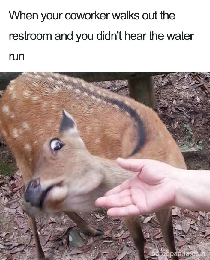 No Handshakes, Please