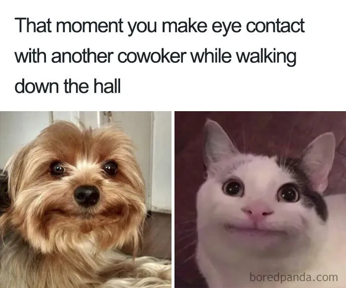 Eye Contact