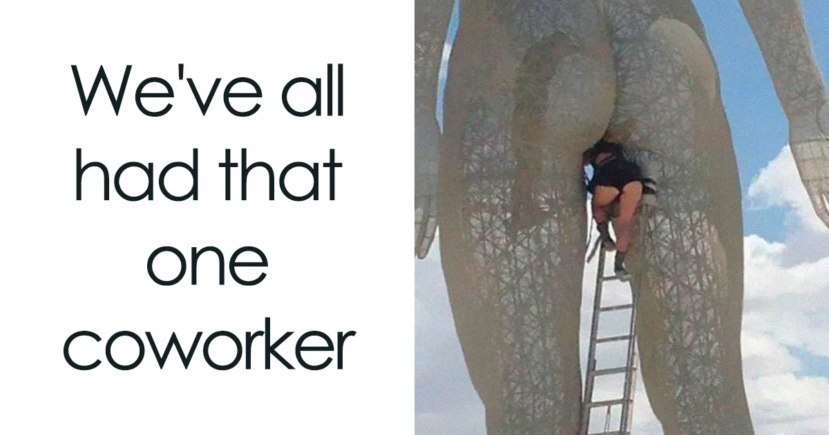 49 Of The Funniest Coworker Memes Ever