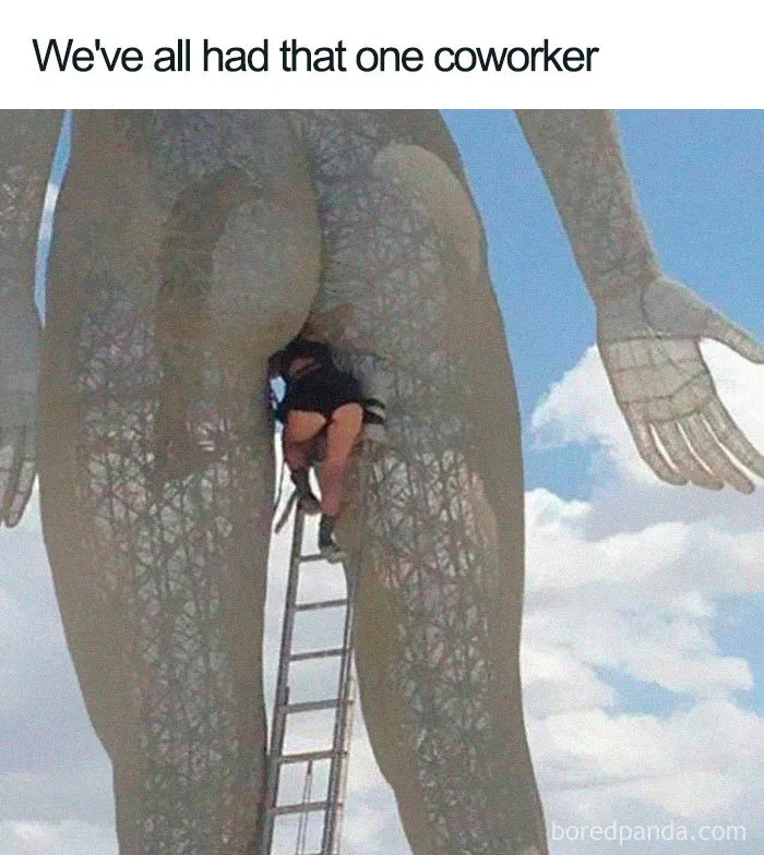 That One Coworker Who’s Basically a Proctologist