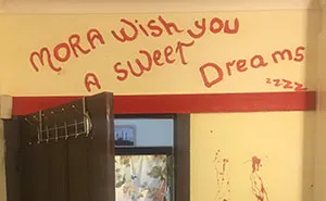 Guy Buys A House With His Wife, Finds "Too Much Strange Stuff" Inside