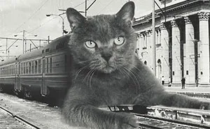 I Photoshopped Cats Into New Year's Photos From The Former USSR