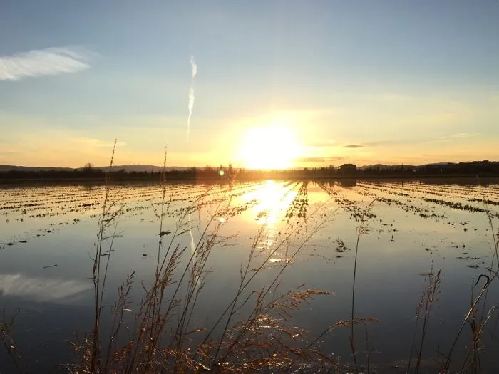 Sunset Emporda