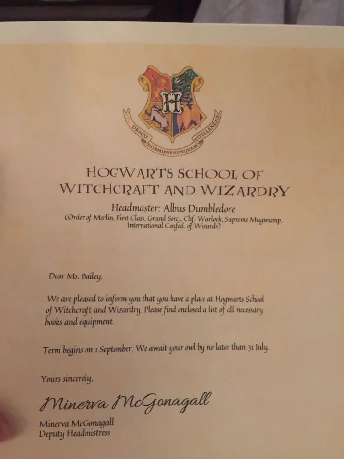 I Was Accepted Into Hogwarts.