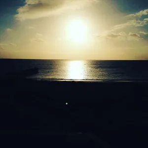Indy_7