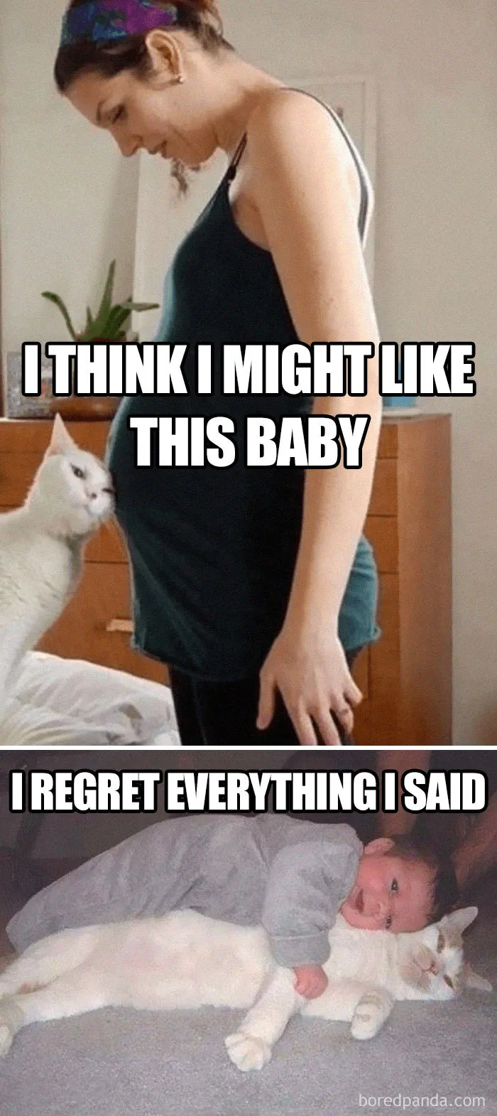 Regrets