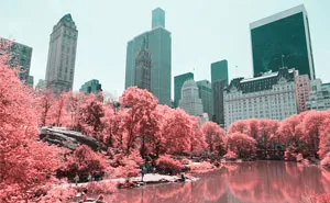 Paolo Pettigiani Uses Infrared Photography To Give Us A Different View Of The World