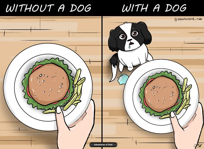 My 29 Comics That Every Dog Owner Will Understand