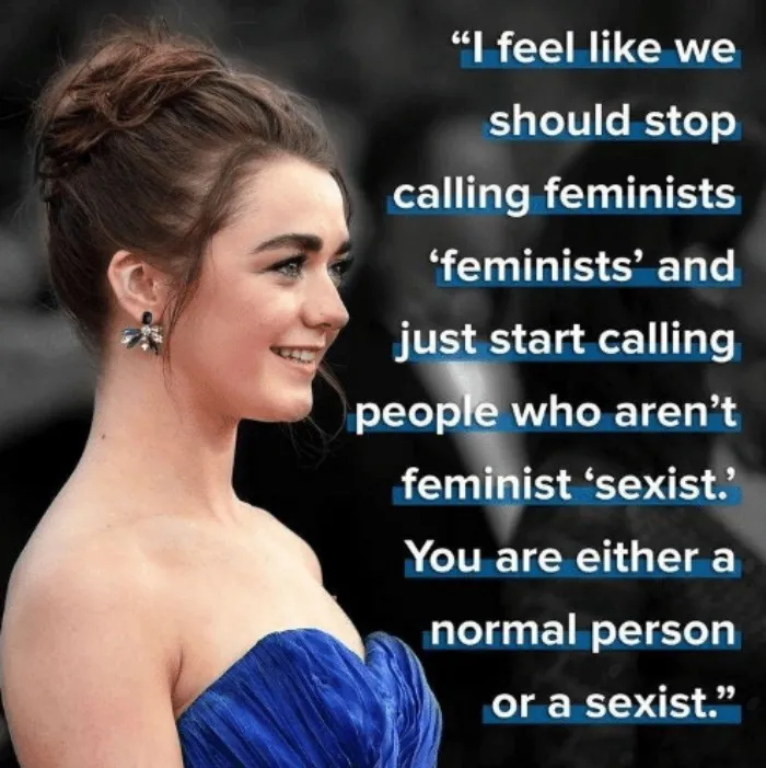 50 Feminist Memes Proving That Humor Best Conveys The Ugly Truth