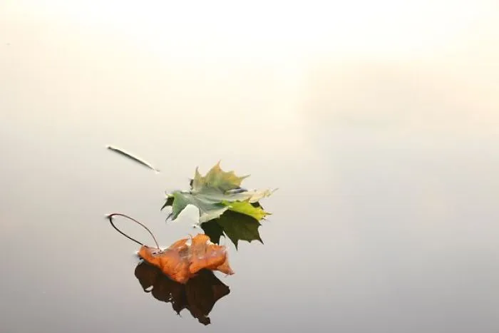 Instructions To Stay Right Now In Everyday Life: 5 Simple Habits