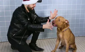 This Magician Made Treats Disappear And Shelter Dogs' Reactions Will Crack You Up