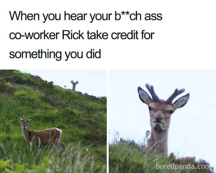 Taking Credit