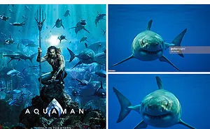 32 Of The Funniest Jason Momoa Memes