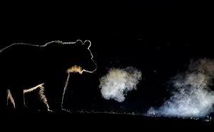 50 Of The Most Incredible Photos Of The National Geographic Photo Contest Of 2018