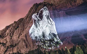 I Used A Powerful Projector To Create My 'Crying Animals' Series, That Showcases Endangered Species