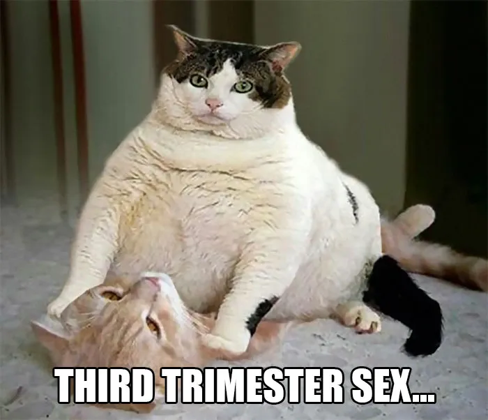 Third Trimester