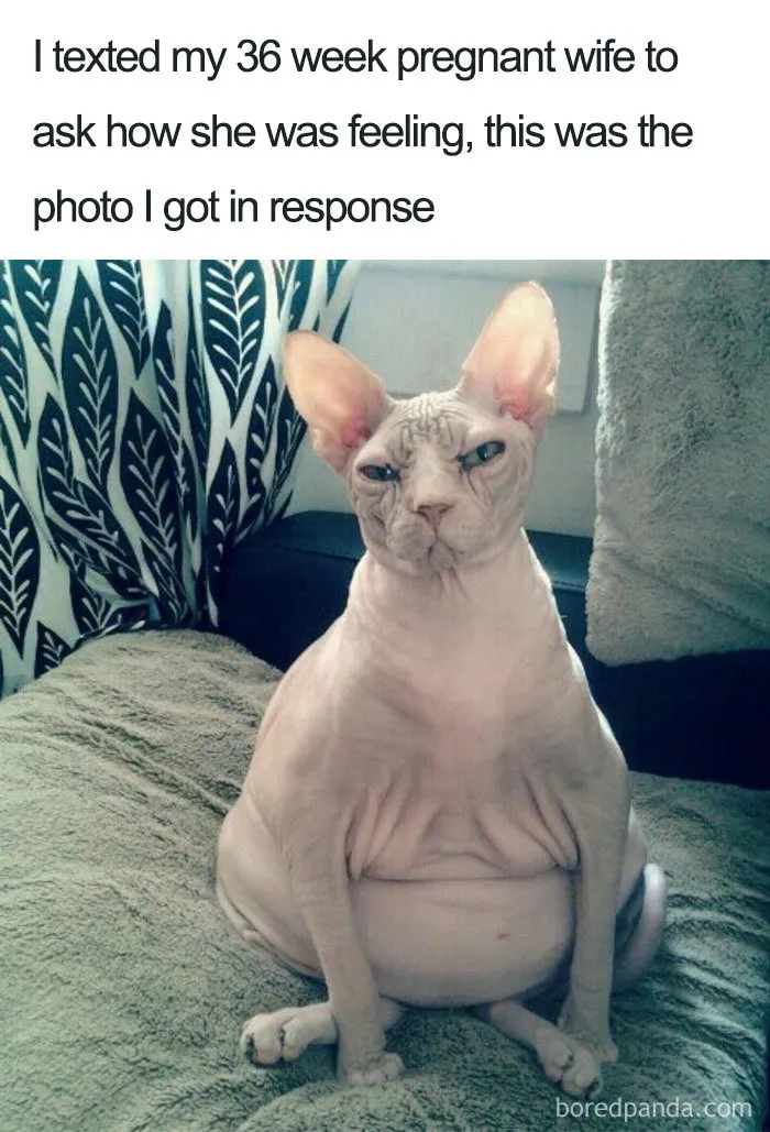 Accurate Depiction