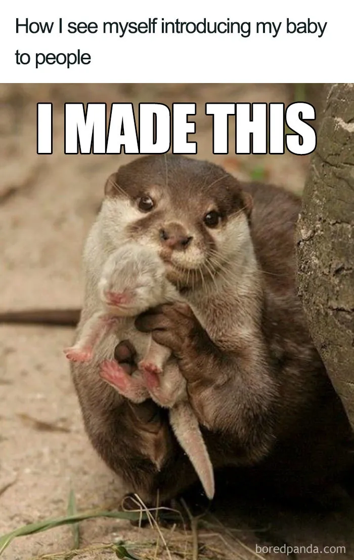 I Made This