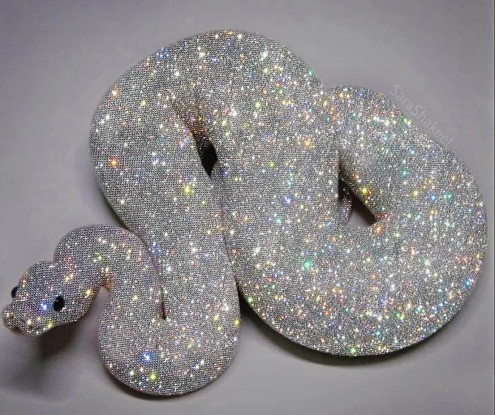 Sara Shakeel Quits Her Job As A Dentist To Start Her Career As A Glitter Artist