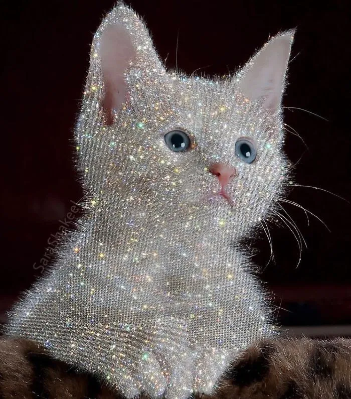 Sara Shakeel Quits Her Job As A Dentist To Start Her Career As A Glitter Artist