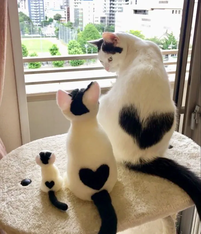 Tiene una marca en forma de corazón