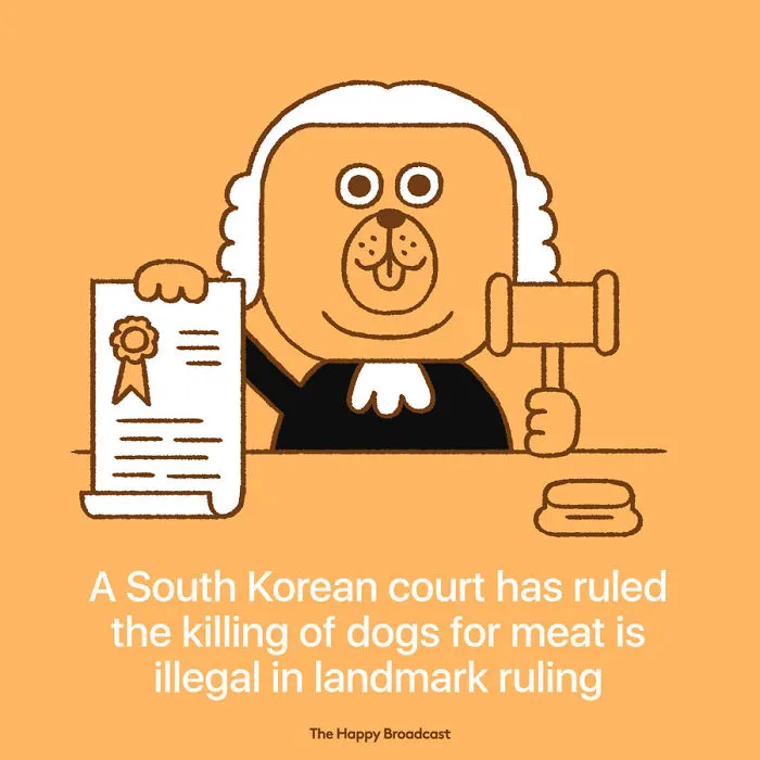 I'm Honestly Fed Up With All The Bad News So I Illustrated The Best News Of 2018 (And Recent Years)