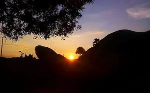 Sunset In Hand