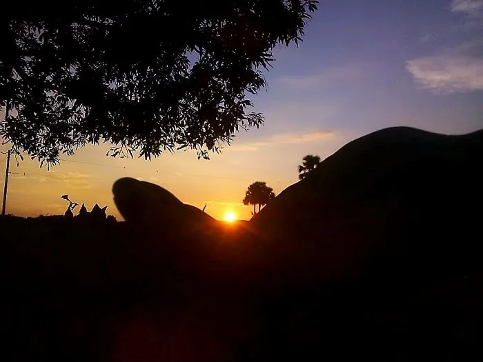 Sunset In Hand