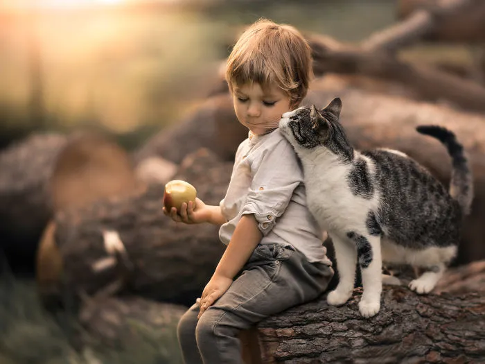 My Cats Are Afraid Of Kids Except For My Son So I Decided To Capture Their Bond (20 Pics)