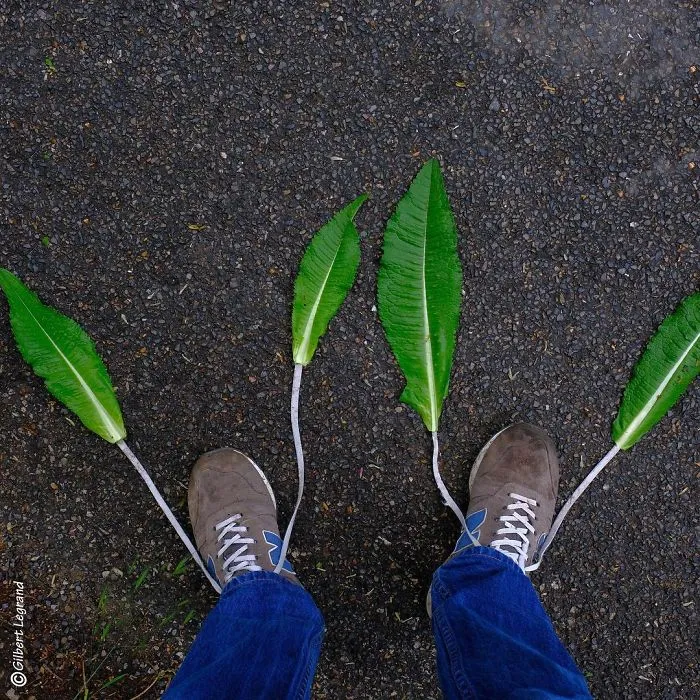Artist Brings Dull Everyday Objects To Life By Giving Them A Playful Makeover (51 Pics)