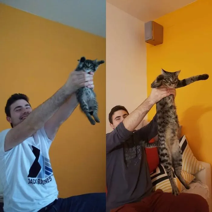 Festuc 5 Months Later