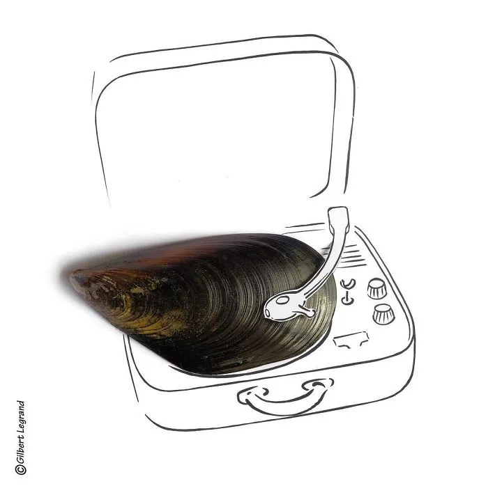 Artist Brings Dull Everyday Objects To Life By Giving Them A Playful Makeover (51 Pics)