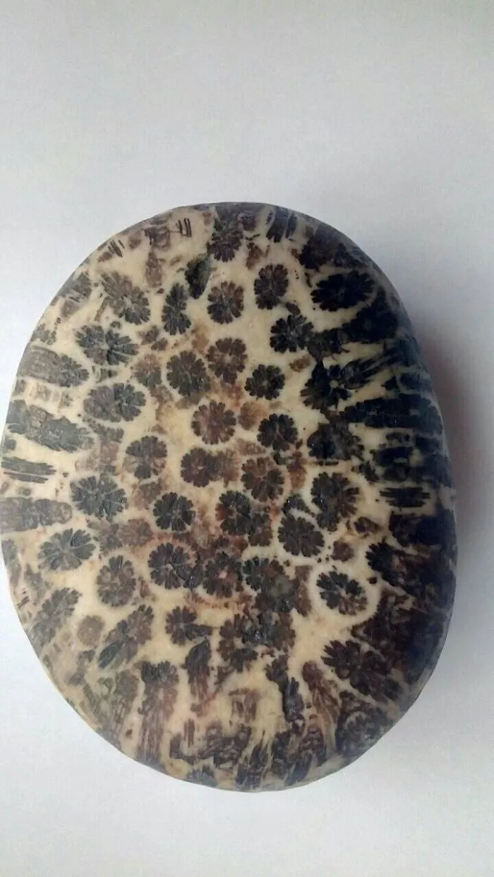 Interesting Beautiful Stone