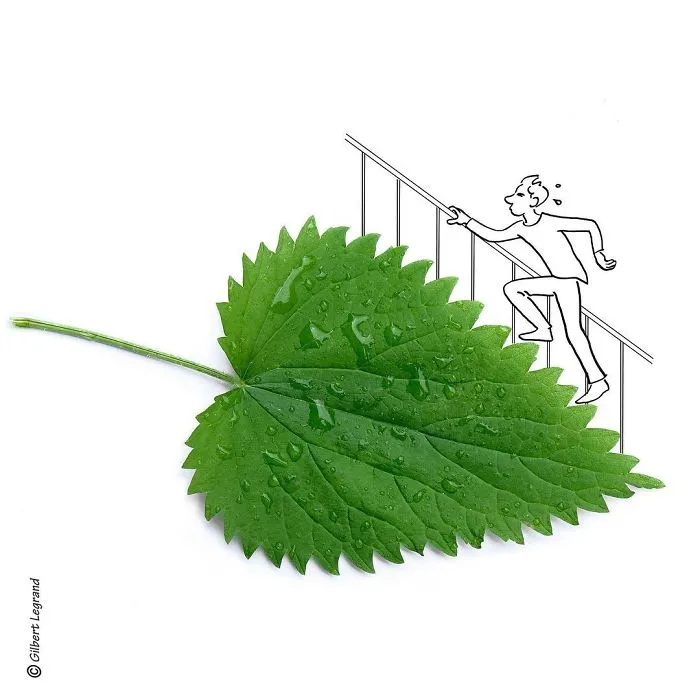 Artist Brings Dull Everyday Objects To Life By Giving Them A Playful Makeover (51 Pics)