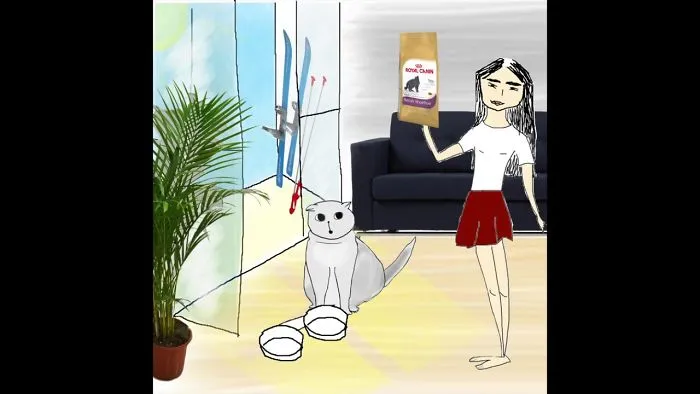 I Make Cartoons About My Cat